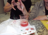 <p>Observando DNA do morango no laboratório de Genética.</p>