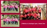 <p>Equipe Biblioteca apoia a Campanha Outubro Rosa</p>
