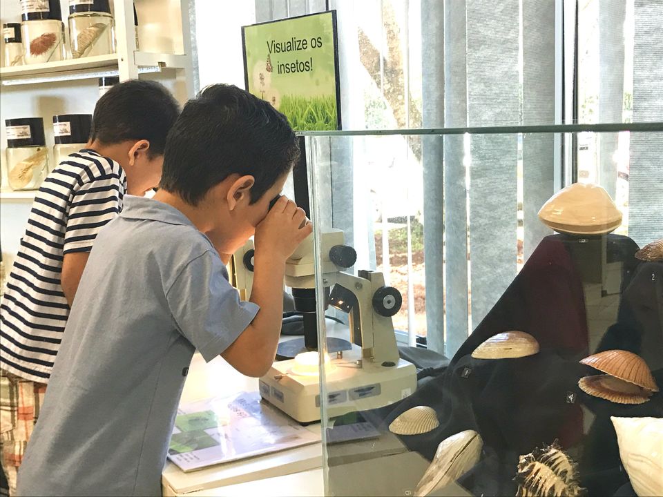 Uma tarde de descobertas no Museu de Ciências Naturais da Unochapecó