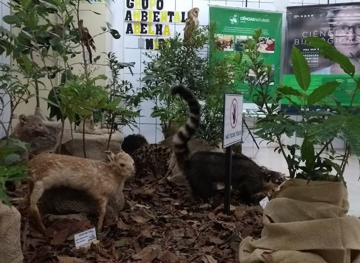 Museu de Ciências Naturais realiza exposição itinerante nas escolas