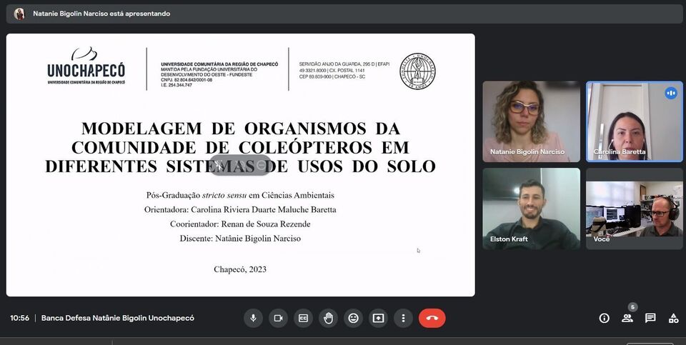 A 227ª defesa de dissertação foi apresentada por Natânie Bigolin Narciso